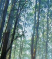 linley esate-mt dandenong ranges